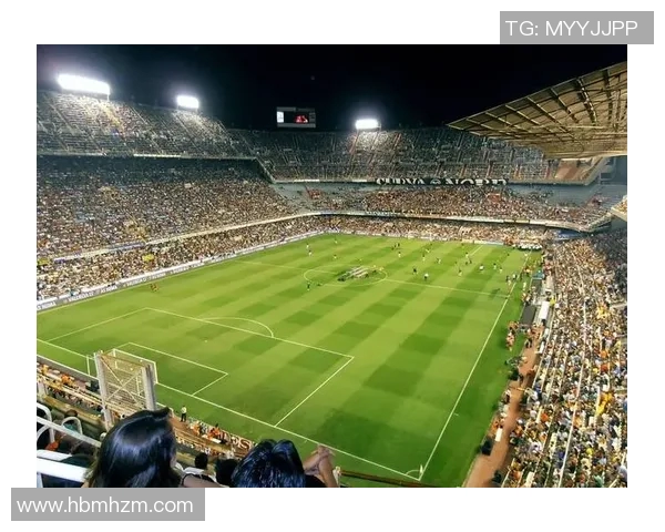 足球巨星引领潮流全方位解析球场传奇与个人风采的完美结合